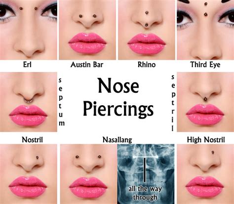 different types of nose piercings.